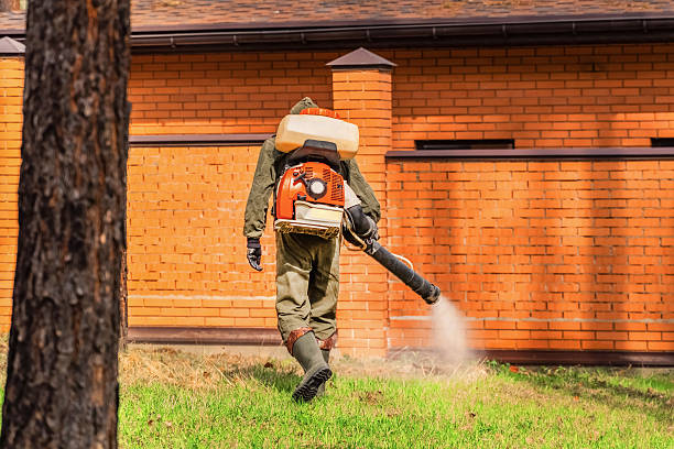 Bed Bug Clearance Verification and Documentation in Patterson